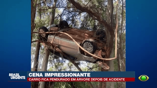 Carro sai da PR-542 e fica preso em árvore no Norte do Paraná - QTU Questões do Universo