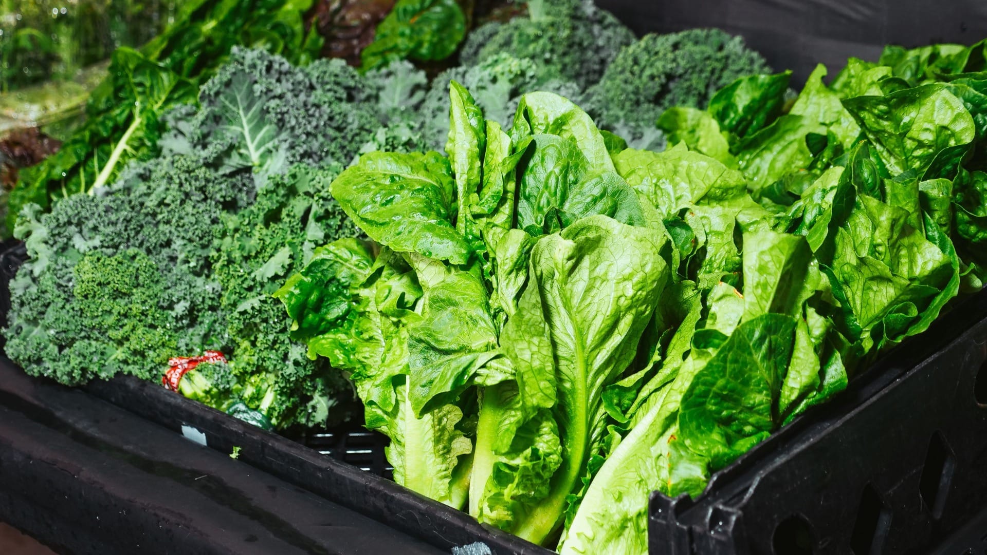 Vitamina K: para que serve e por que ela entrou no radar da saúde