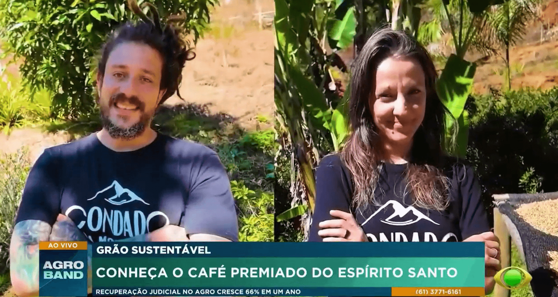 Café sustentável do ES conquista mercado internacional com "solo vivo"