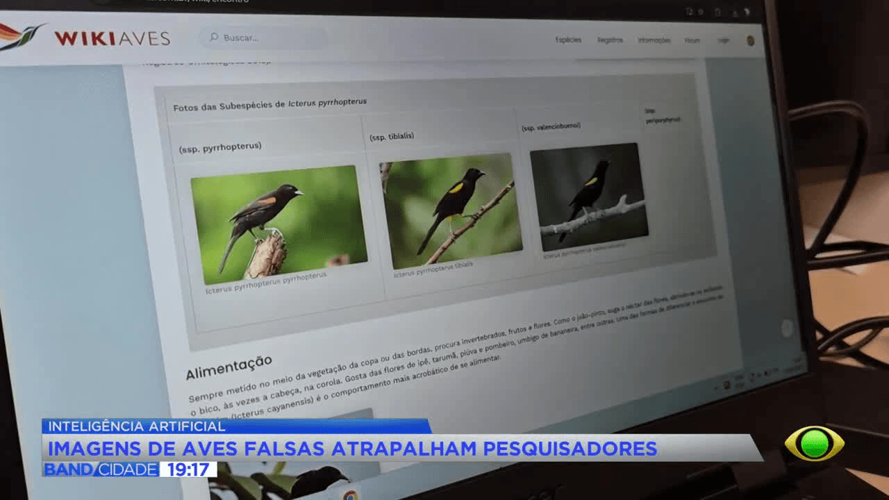 Uso de IA em fotos de aves preocupa pesquisadores no Brasil
