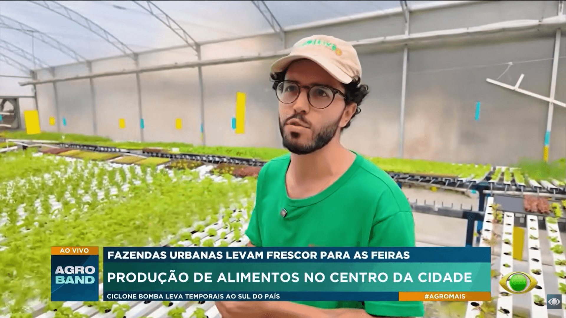 Sem terra e produtos químicos, fazenda produz hortaliças no meio da cidade - QTU Questões do Universo