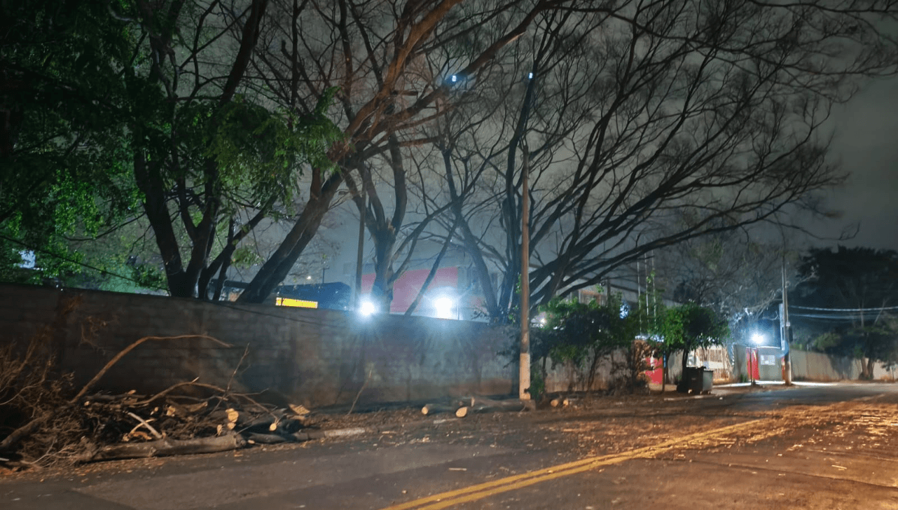 Árvore cai dentro de escola, atinge poste e interdita avenida em Campinas - QTU Questões do Universo
