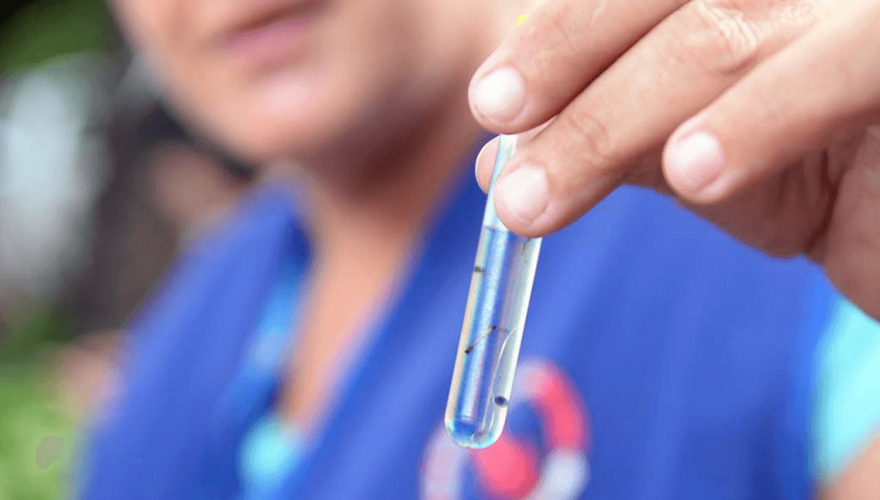 Limeira realiza mutirão contra a dengue neste sábado (8)