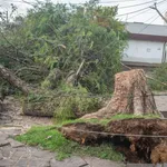 Evandro Leal/|Enquadrar/Estadão Conteúdo