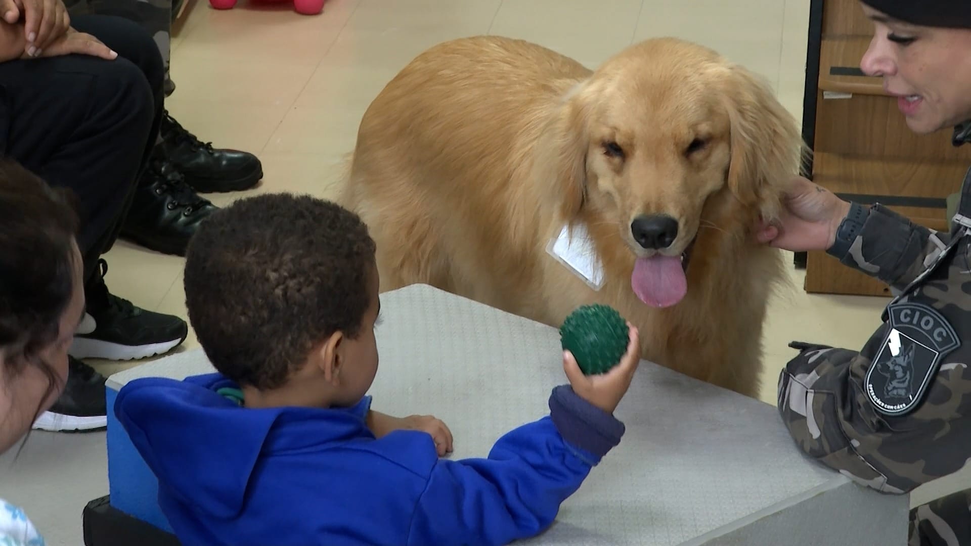 Cão terapeuta da PM auxilia crianças em hospital de Curitiba