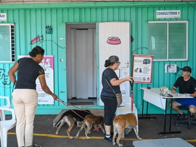 Consultório Veterinário Móvel atende em Sousas a partir desta quinta (13)