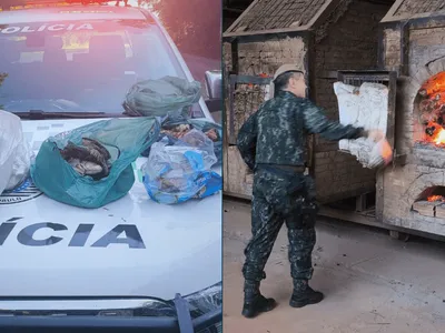 Polícia Ambiental apreende 26 aves abatidas e pescado em São Miguel Arcanjo
