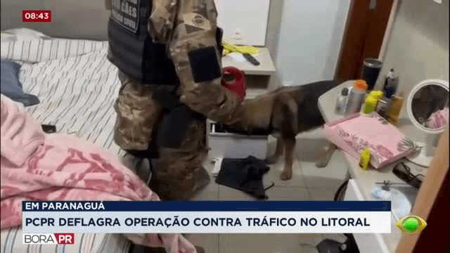 PCPR faz operação contra tráfico e lavagem de dinheiro no Litoral do Paraná