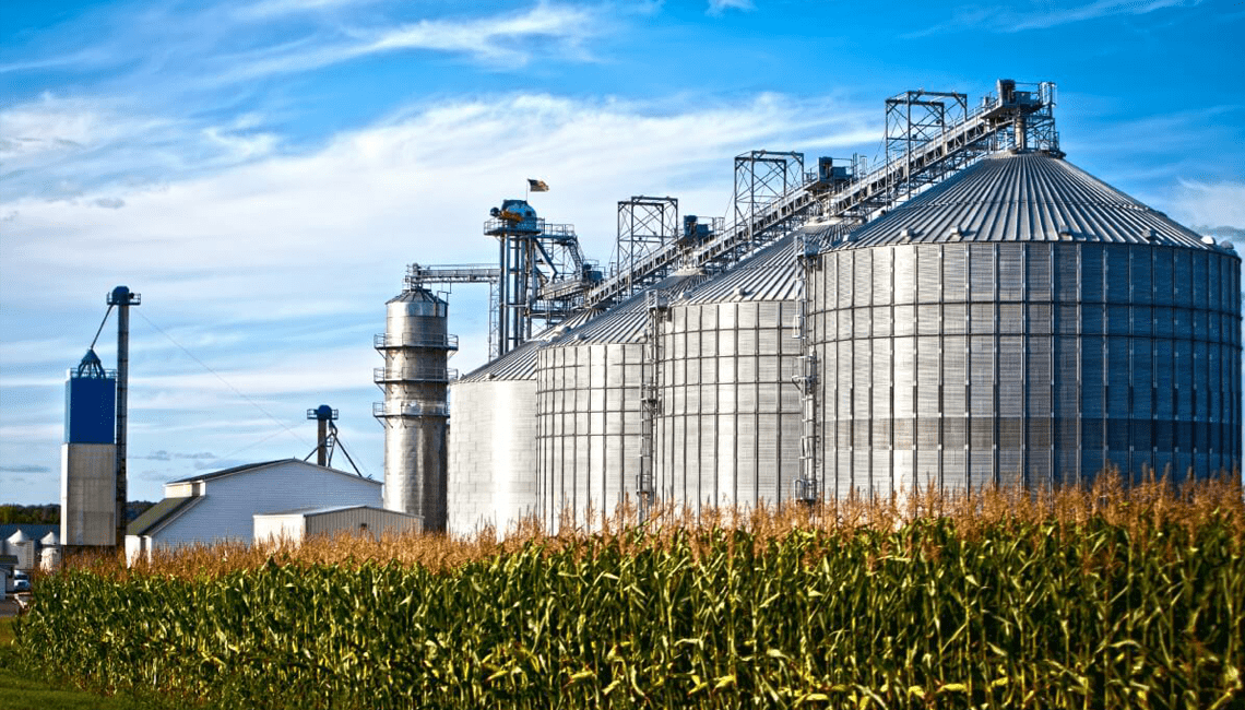 Déficit em armazenagem e fertilizantes encarecem alimentos no Brasil