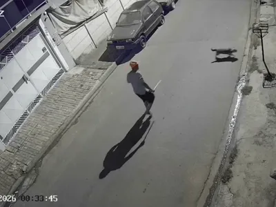 Homem é preso após ser filmado espancando cachorro com madeira em Atibaia