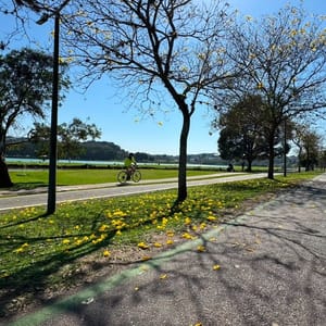 Calor chega a 39,9°C no Paraná; Curitiba pode ter 28°C na segunda