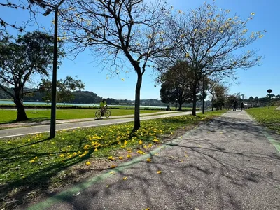 Calor no Paraná tem dia para acabar: frente fria chega na quinta-feira