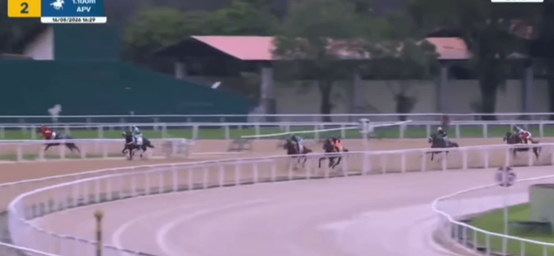 Atleta sofre acidente com cavalo no Jockey Club Brasileiro, na Gávea
