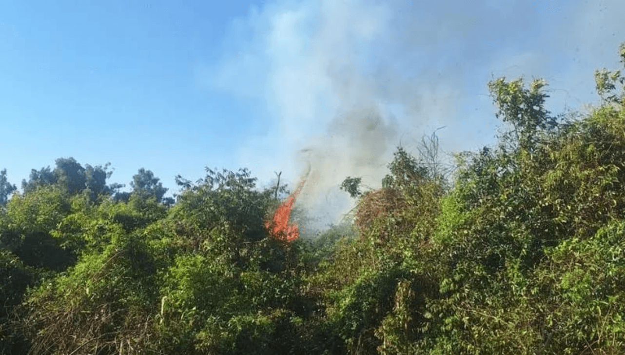 Incêndio atinge mais de 3 mil m² de mata em Martinópolis