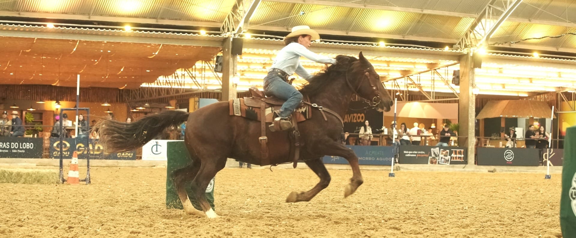 Cavalo mangalarga disputa R$ 100 mil em prêmios na Expointer no RS