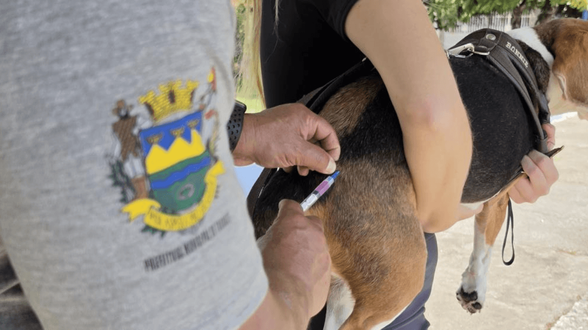 Taubaté realiza vacinação antirrábica de pets na região do Água Quente