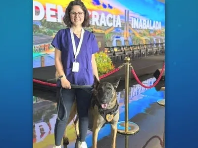 Veterinária atacada por cão do Senado segue internada em estado grave