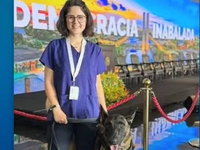 Caso veterinária: o que fazer em caso de ataque de cão