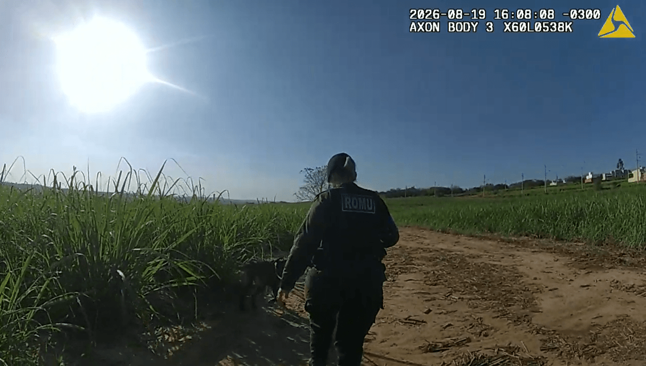 Polícia identifica mulher de 36 anos achada morta em canavial de Capivari