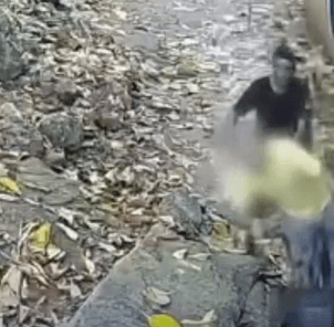 Ciclista é assaltado e tem bicicleta roubada em trilha no Pontal - QTU Questões do Universo