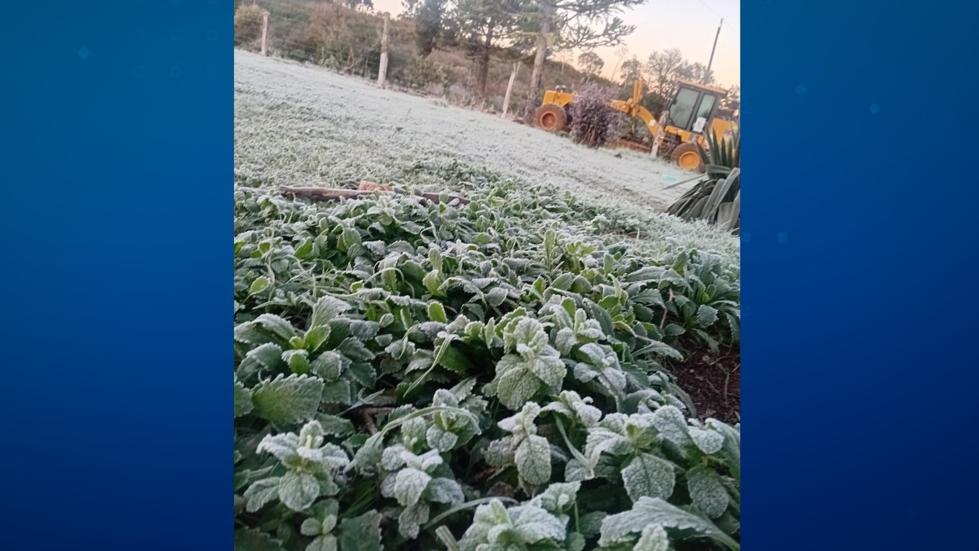 General Carneiro registra -2,8°C; veja as cidades mais frias do Paraná