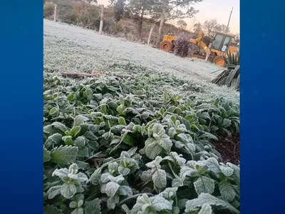 General Carneiro registra -2,8°C; veja as cidades mais frias do Paraná