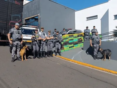 PMR apreende 1,3 tonelada de drogas em carga de estofados na Raposo Tavares