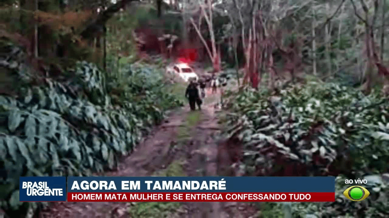 Homem mata companheira e se entrega à polícia em Almirante Tamandaré - QTU Questões do Universo