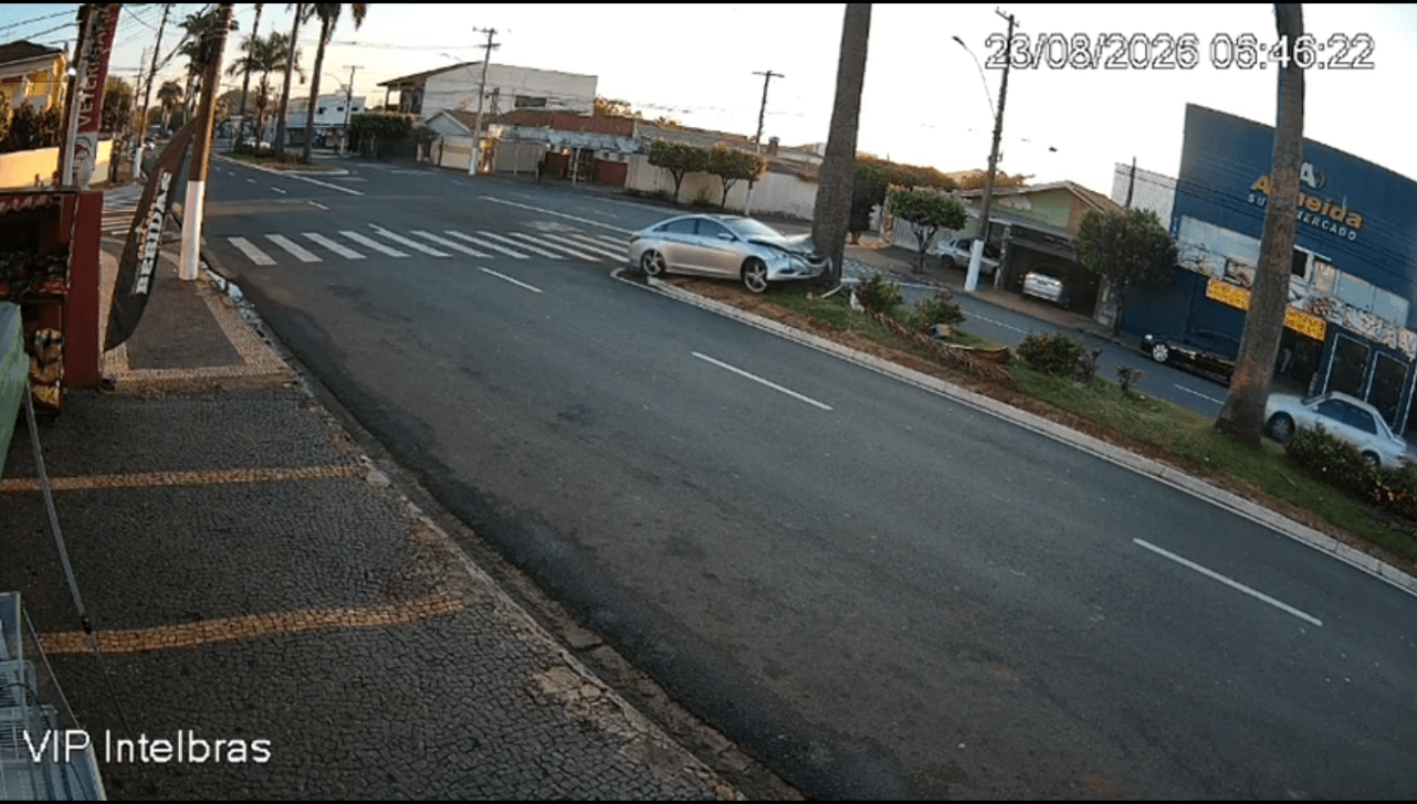 VÍDEO: motorista bate em coqueiro na Avenida Gioconda Cibin, em Americana