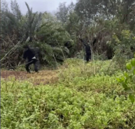 Operação da PM prende quatro e apreende dois fuzis em Vigário Geral.