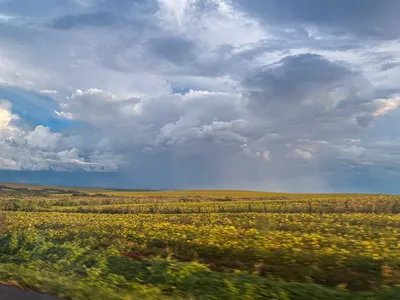 Frio perde força no Paraná e chuva volta a partir de terça