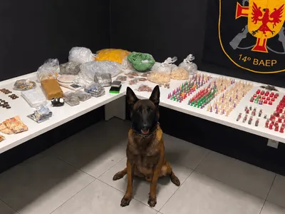 'Casa-bomba': suspeito de tráfico de drogas é preso em Sorocaba
