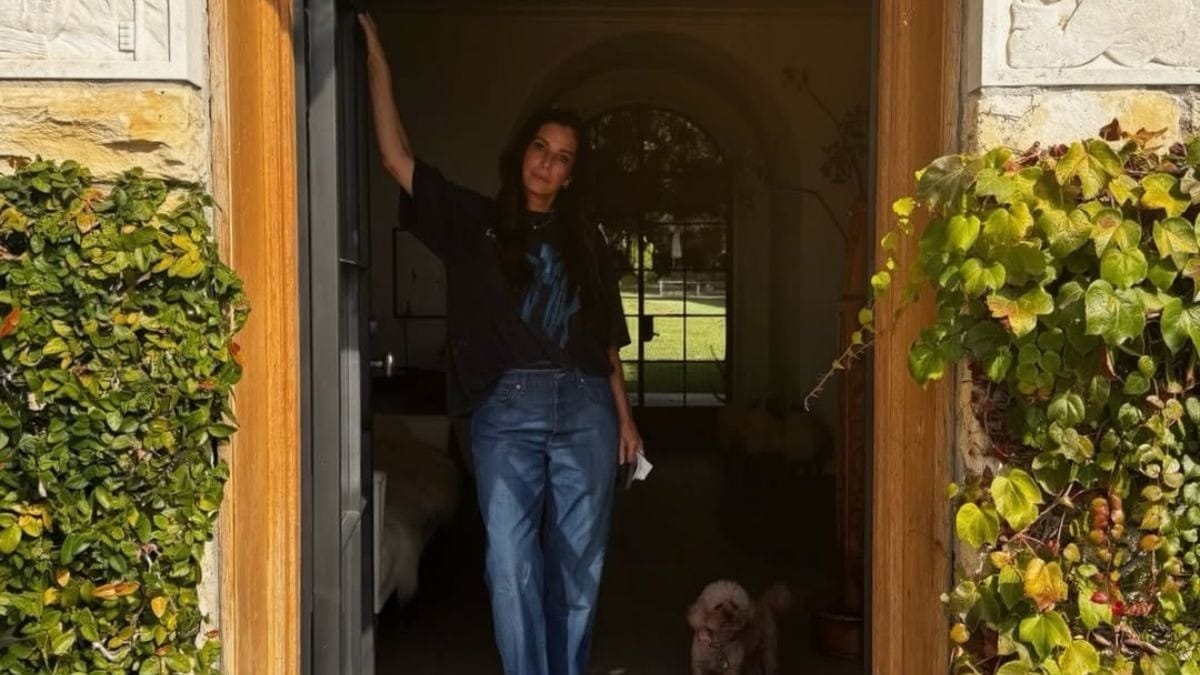Sandra Bullock expõe dor vivida em segredo antes da morte do companheiro - QTU Questões do Universo