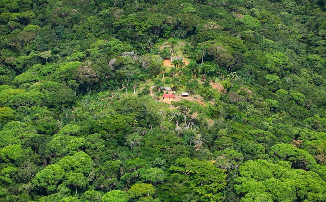 Brasil tem 69 milhões de hectares de terras públicas sem destinação - QTU Questões do Universo