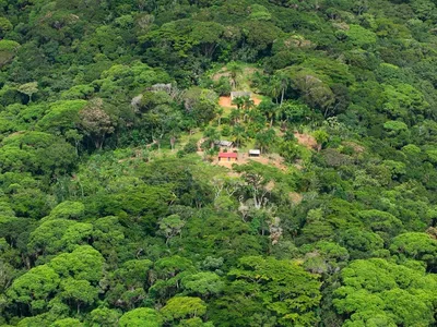 Brasil tem 69 milhões de hectares de terras públicas sem destinação