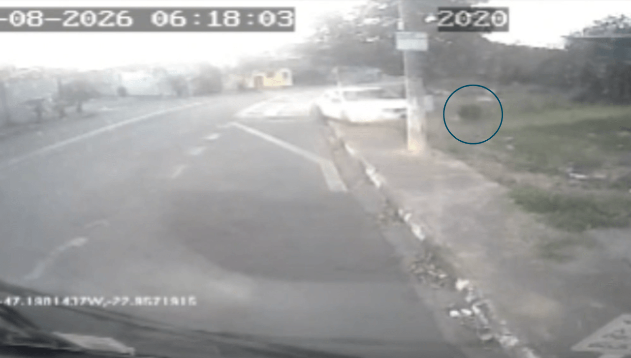 VÍDEO: motorista de ônibus salva mulher de tentativa de atropelamento
