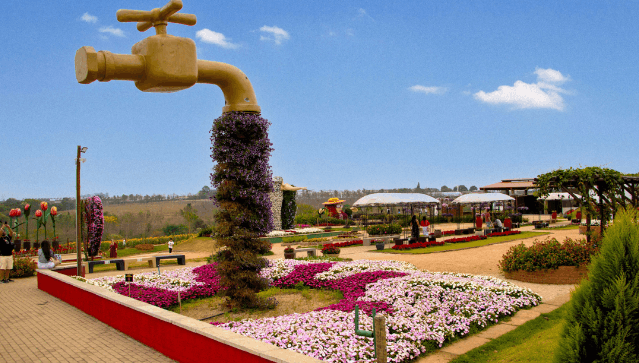 Exploflora: jardins, flores, comidas e cultura holandesa agitam Holambra - QTU Questões do Universo