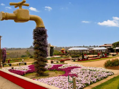Exploflora: jardins, flores, comidas e cultura holandesa agitam Holambra