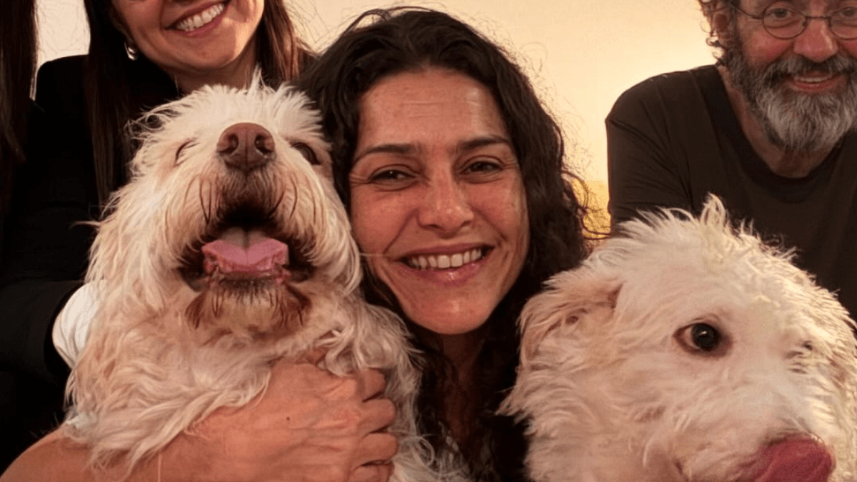 Letícia Sabatella recupera cão doado sem atualização após decisão judicial - QTU Questões do Universo