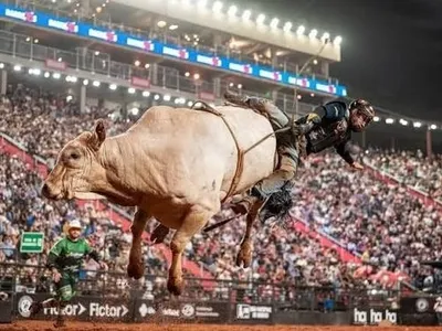Mandrake Jr. conquista título de Touro do Ano da PBR em Barretos