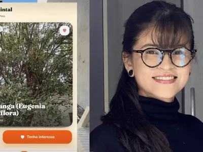 'Tem fruta no Quintal?': conheça o app que combate desperdício de alimentos