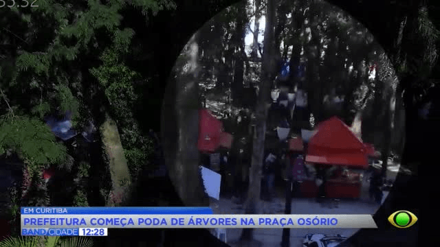 Curitiba inicia poda preventiva de árvores na Praça Osório - QTU Questões do Universo