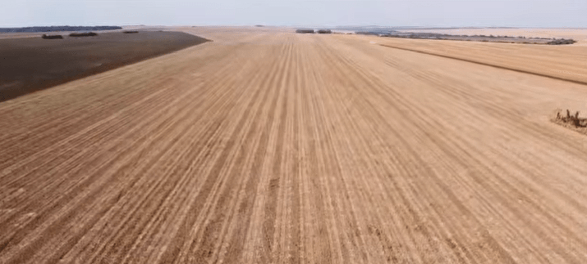 Novas tecnologias reduzem perdas de grãos no campo em Mato Grosso - QTU Questões do Universo