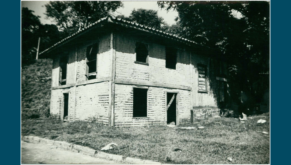 Piracicaba: galho cai perto da Casa do Povoador e interdita trecho