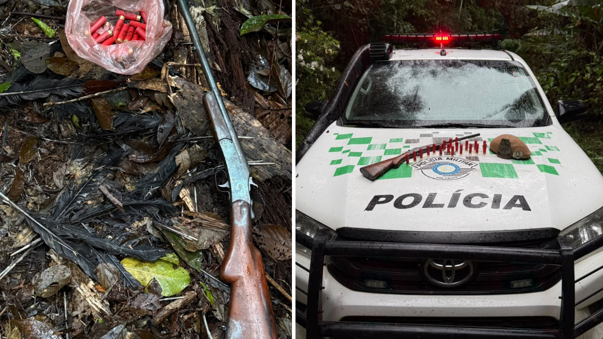 Homem foge e abandona espingarda e munições em mata de Paraibuna