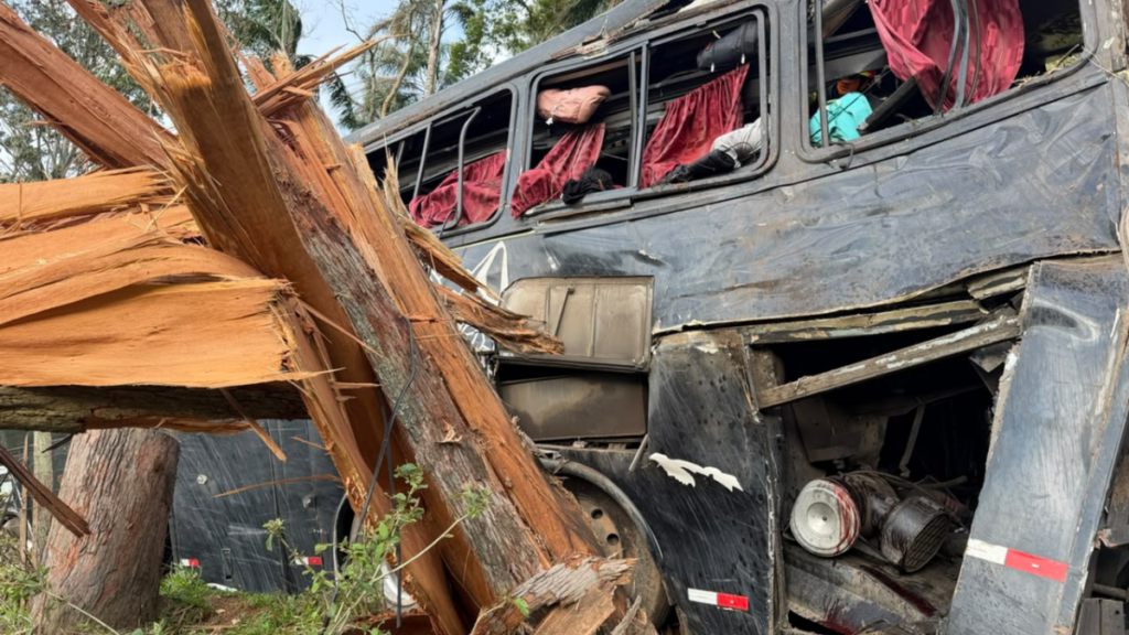 Sobe para 6 o número de mortos após ônibus cair em ribanceira em Cruzeiro