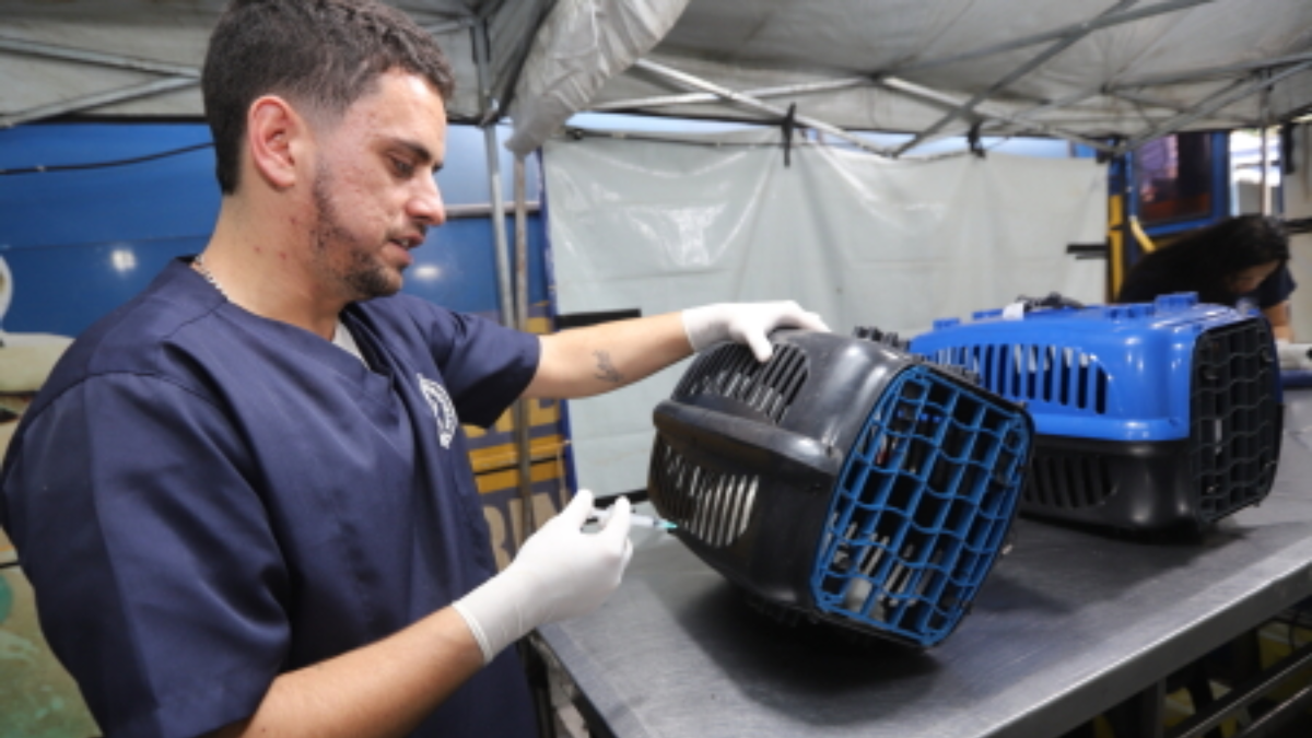 Jacareí inicia entrega de senhas para castração gratuita de cães e gatos