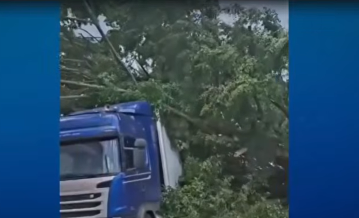 Ventos de até 91 km/h derrubam árvores sobre veículos no litoral de SP