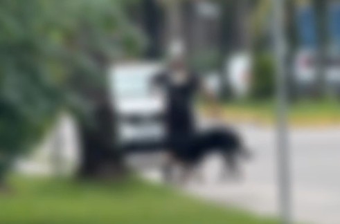 Morador denuncia agressão contra cachorro durante passeio em Ubatuba