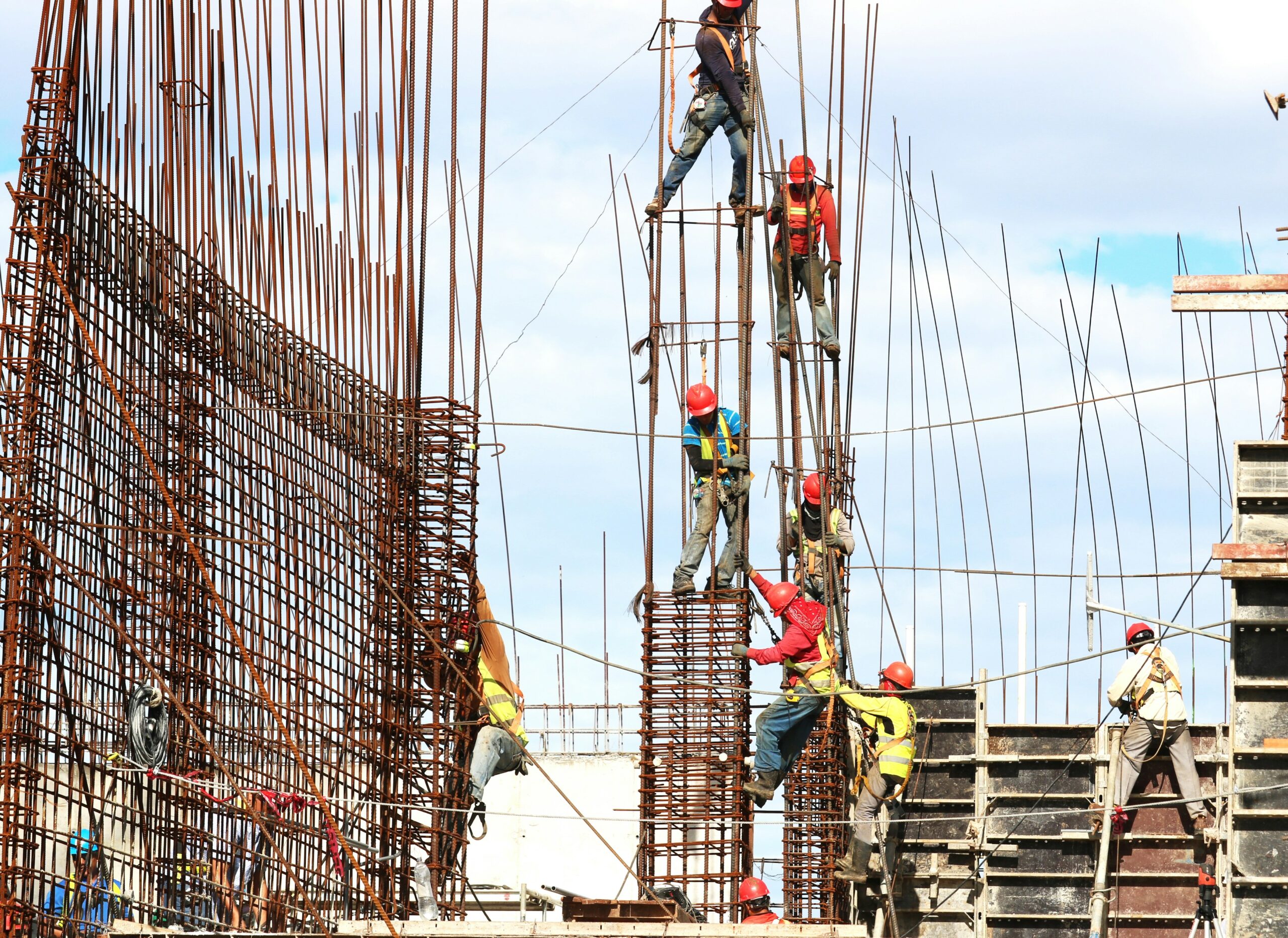Fungos podem criar materiais de construção que se regeneram